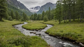 En liten bekk i et norsk landskap