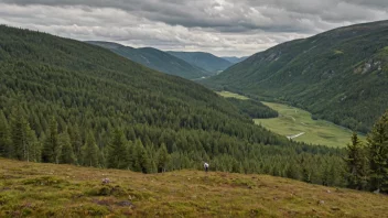 En person i det fjerne, omgitt av et naturskjønt norsk landskap, som representerer retten til å bruke og forvalte utmarken.