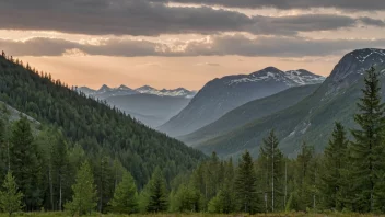 Et idyllisk landskap av en norsk skog med en majestetisk fjellkjede i bakgrunnen, som symboliserer sammenhengen mellom natur og menneskelige interesser.