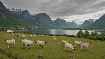 Et idyllisk landskap av en norsk geitanger med geiter som går fritt.