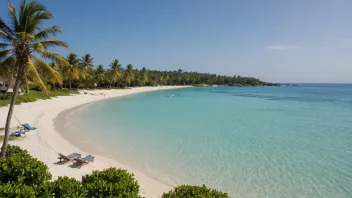 Et tropisk paradis med en vakker strand og krystallklart vann.