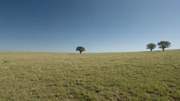 Et åpent, gresskledt landskap med få trær og en klar blå himmel.