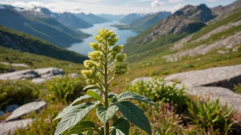 En tufsingplante med tufsede blader eller blomster, som vokser i norske fjell.