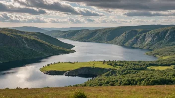 Et vakkert Langåker i Norge, som viser sin naturlige sjarm.