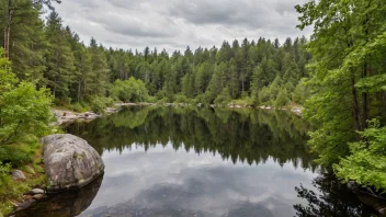 Et naturskjønt bilde av Lillomarka, som viser områdets skjønnhet med frodige skoger, rolige innsjøer og svingete turstier.