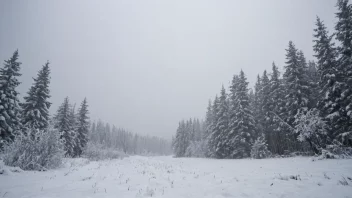 Et vinterlandskap med ekstreme snøforhold, perfekt for snøskoing, skiing eller hundekjøring.