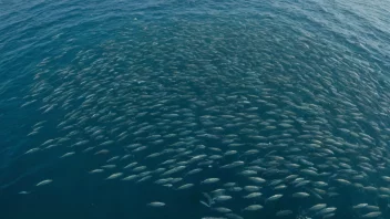 En stor skole fisk som svømmer sammen i havet.