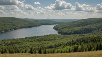 Et jaktterreng med en blanding av åpne og skogkledd områder.