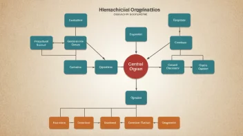 En illustrasjon av en hierarkisk organisasjonsstruktur med et sentralt topporgan fremhevet.