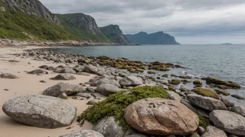 Et fjærete, en kyststripe i Norge, med en blanding av steiner, sand og tang.