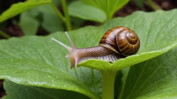 En snegle som nyter den lange reisen oppover en plante.