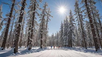 En gruppe langrennsløpere i et vinterlandskap.