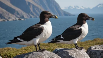 En gruppe alker som flyr over vannet, med et fjellmassiv i bakgrunnen.