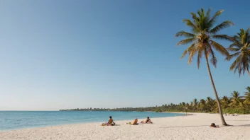 En fredelig strandscene med palmer og mennesker som slapper av i bakgrunnen.