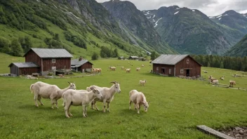 En geitedrift i norske fjell