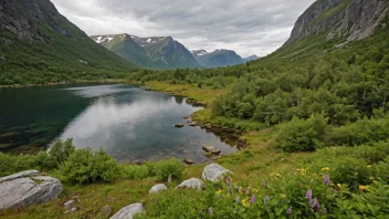 Et fredelig og urørt naturlandskap i Norge, med en blanding av trær, blomster og dyreliv.