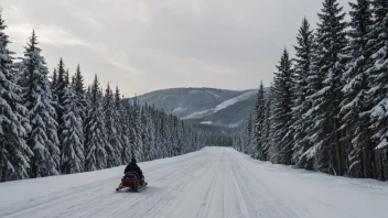 En person kjører en slede på en snødekt vei.