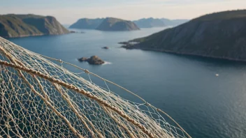 Et fiskegarn, spesifikt en loddeier, med en naturskjønn norsk kyststripe i bakgrunnen.