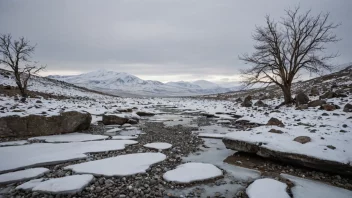 Et vinterlandskap med et kaldt og tørt klima.