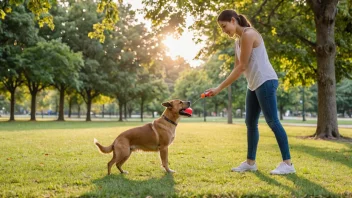 En person som trener en hund i en park