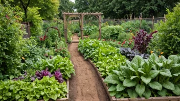 En vakker og frodig grønnsakshage med en blanding av bladgrønnsaker, rotgrønnsaker og andre spiselige planter.