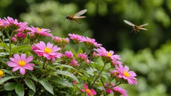 En blandebur med fargerike blomster og noen insekter som flyr rundt den.