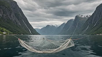 En illustrasjon av et fiskegarn som brukes i en norsk fjord.