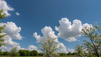 En vakkerdag med klar blå himmel og noen hvite skyer, trær og blomster i forgrunnen.