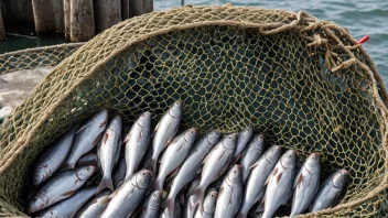 Et stort fiskegarn fylt med fisk, som symboliserer begrepet nettotonn som en enhet for måling.