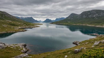 Et bilde av Bodømiljøet i Nordland, som viser dets naturskjønnhet og mangfoldige dyreliv.