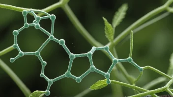 En illustrasjon av den molekylære strukturen til hemicellulose.