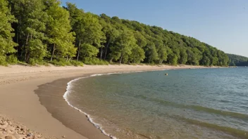 En fredelig og pittoresk strand omgitt av løvskog, med en blanding av sand, stein og trær langs strandlinjen.