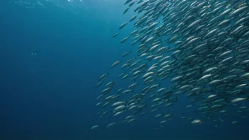 En gruppe fisk som svømmer sammen i havet