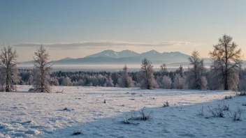 Et fredelig og kaldt landskap med noen trær og en fjern fjellkjede.