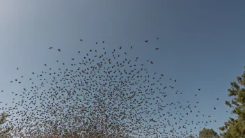 En stor sværm av insekter som flyr sammen i luften, med et uskarpt bakgrunn for å fremheve bevegelsen til insektene.