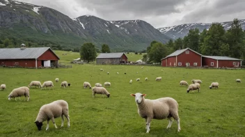 En naturskønn utsikt over en sauefarm i Norge, som viser landets sauefarmindustri.