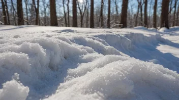 En snøskorpe, også kjent som en snøpanne, er et lag av is som dannes på toppen av snø når lufttemperaturen er under frysepunktet.