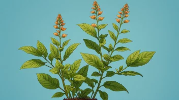 En vakker staud med fargerike blomster og frodige grønne blader.