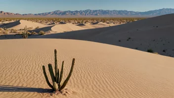 Nevadawüste, en vidstrakt og tørr region i delstaten Nevada, USA.