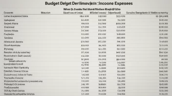 En budsjettoversikt med inntekter og utgifter oppført i en tabell eller diagram.