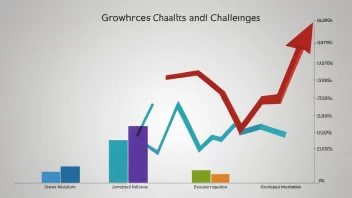 En graf som viser en bedrifts vekst og utfordringer