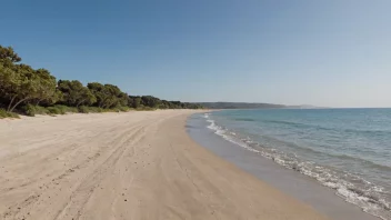 Et fredelig sandsted langs en kyst med noen trær og en klar blå himmel