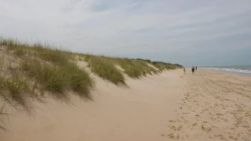 Et kystlandskap med en liten strand og en strandeng i forgrunnen.