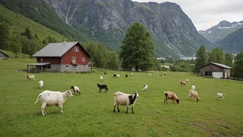 En geitefarm i norske fjell