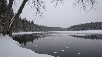 En fredelig vinter scene med en liten isdam i forgrunnen, omgitt av snødekte trær og en frossen innsjø.