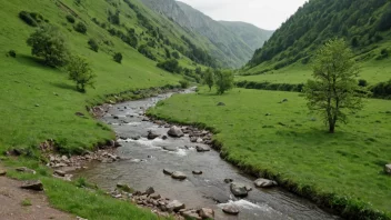 Et fredelig landskap med en liten bekk som renner gjennom det