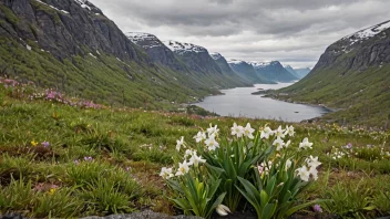 Et fredelig norsk landskap med blomstrende blomster i forgrunnen.