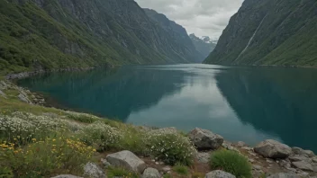 En majestetisk fjord med en blanding av ferskvann og saltvann, hjem til en rekke unike arter.