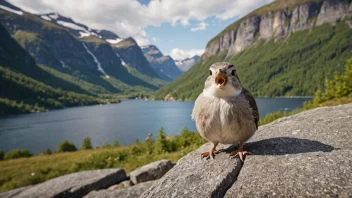 Et bilde som representerer en liten, høyfrekvent lyd, som en knirk eller en knakk.