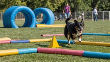 En person og deres hund som deltar i hundeagility.